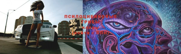 бутират Зеленодольск